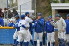 Baseball vs Babson  Wheaton College Baseball vs Babson during NEWMAC Championship Tournament. - (Photo by Keith Nordstrom) : Wheaton, baseball, NEWMAC